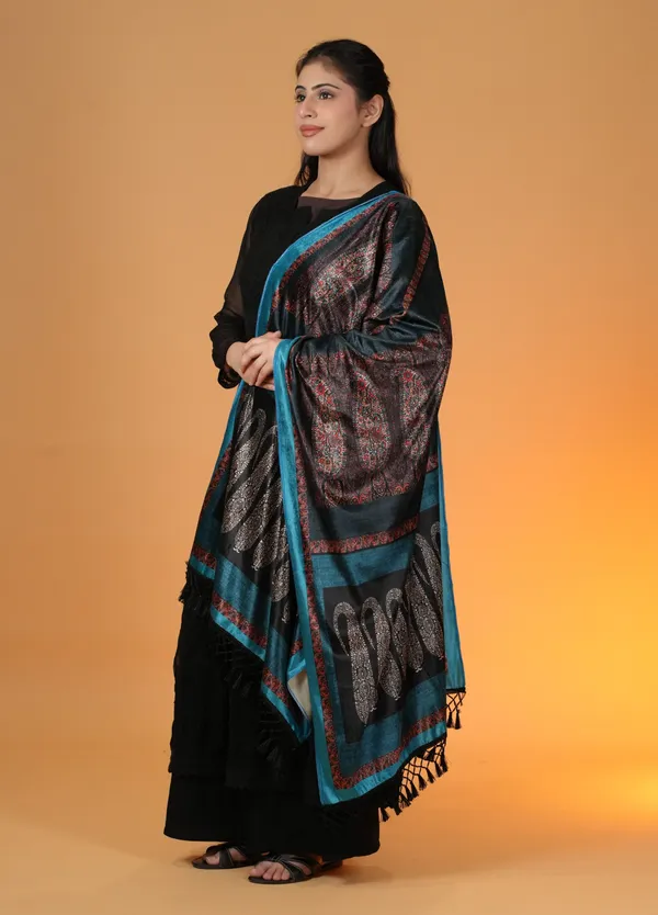 Shifneen_Velvet_Printed_Women_Shawl_Light_Blue