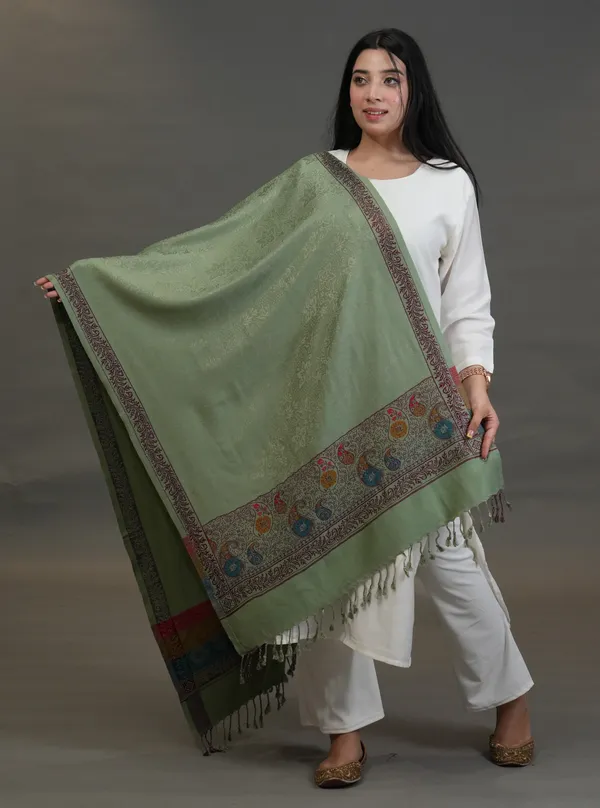 Shifneen_Acrylic_Embroidered_Women_Shawl_Light_Green