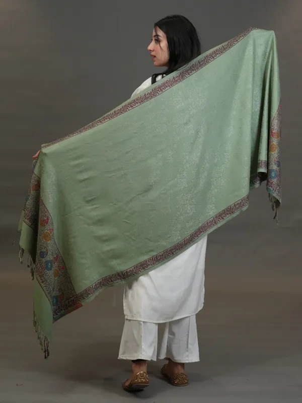 Shifneen_Acrylic_Embroidered_Women_Shawl_Light_Green