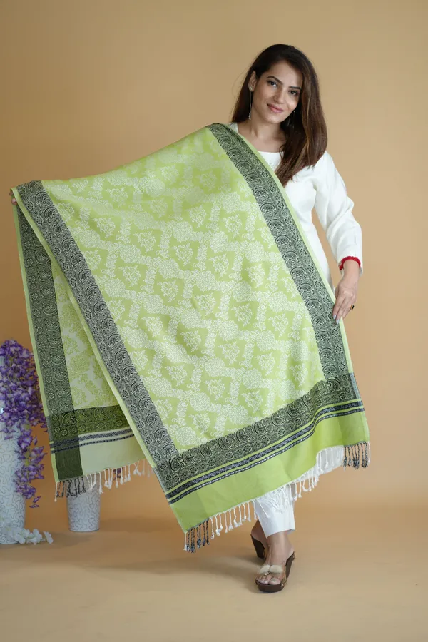 Shifneen_Acrylic_Printed_Women_Shawl_Green