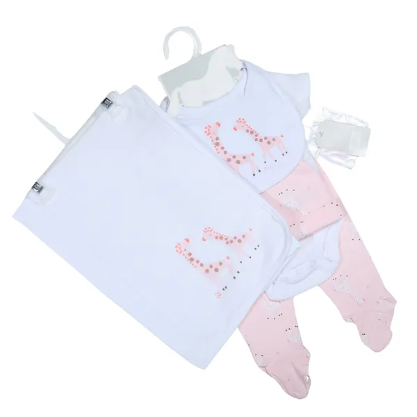 pink_Lily_&_Jack_5-Piece_Set,_Turquoise_Animal_Print_Bodysuit_And_Bib,_With_Bag_Set