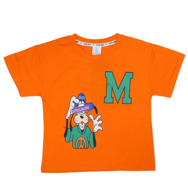 Design_77-T-Shirt_And_Shorts_Set