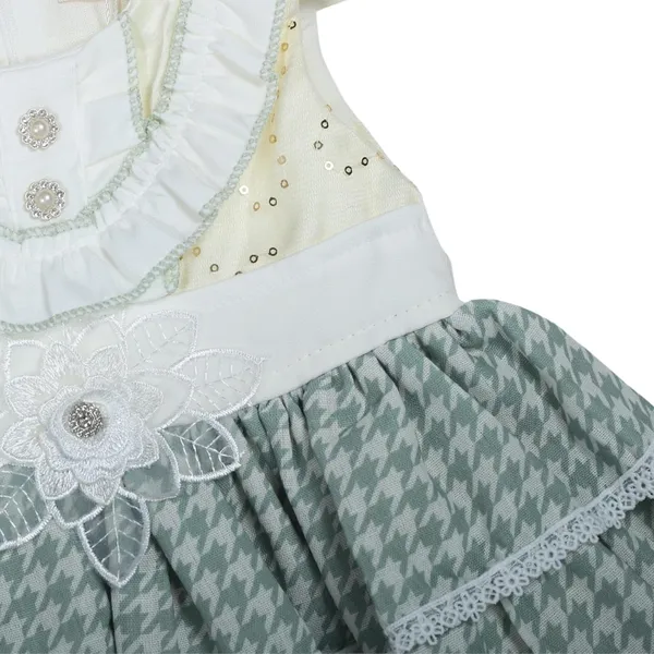 Green_Party_Dress_With_Ruffled_Bodice,_Houndstooth_Skirt,_Lace_Trim_And_Tulle_Layer,_And_Sage_Set