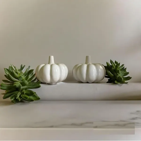 Handicrafts_Ceramic_Pumpkin_Shape_Vases_|_Pumpkin_Planter_Flower_Pot_|_Bottle_Shape_With_Unique_For_Home_Decor_Center_Table_Bedroom_Side_Corners_Decoration