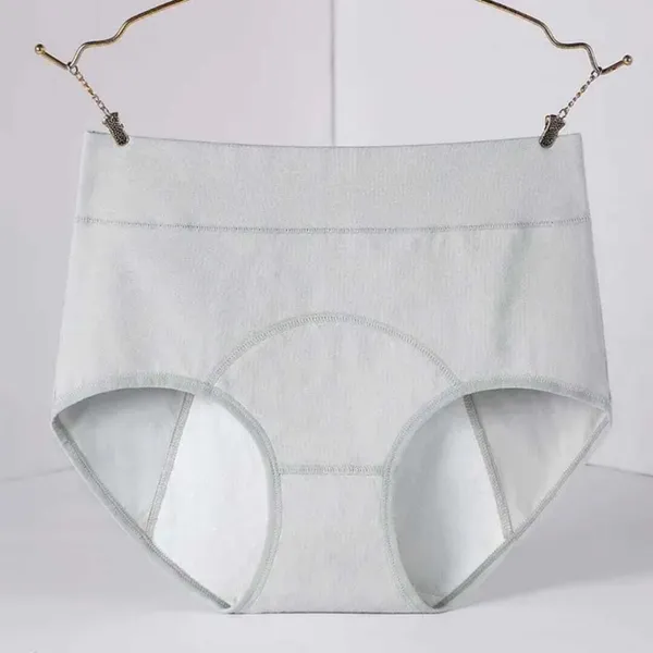 Grey_Cotton_Midrise_Periods_Panty_For_Women
