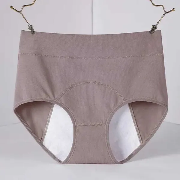 Dark_Grey_Cotton_Midrise_Periods_Panty_For_Women