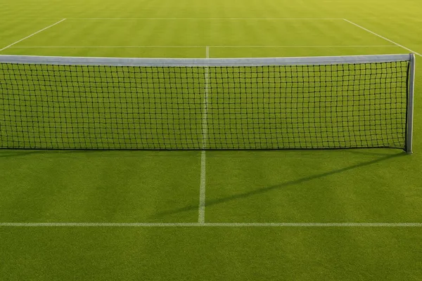 Black_Heavy_Duty_High_Density_Polyethylene_Lawn_Tennis_Net