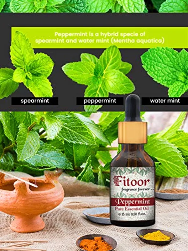 Peppermint_Steam_Distilled_Essential_Oil_(15_Ml)