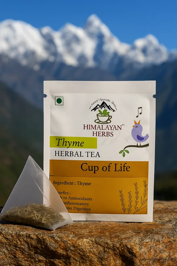 Thyme_Tea_Bag_from_Himalayan_Herbs_(_Pack_of_15_Tea_Bags)