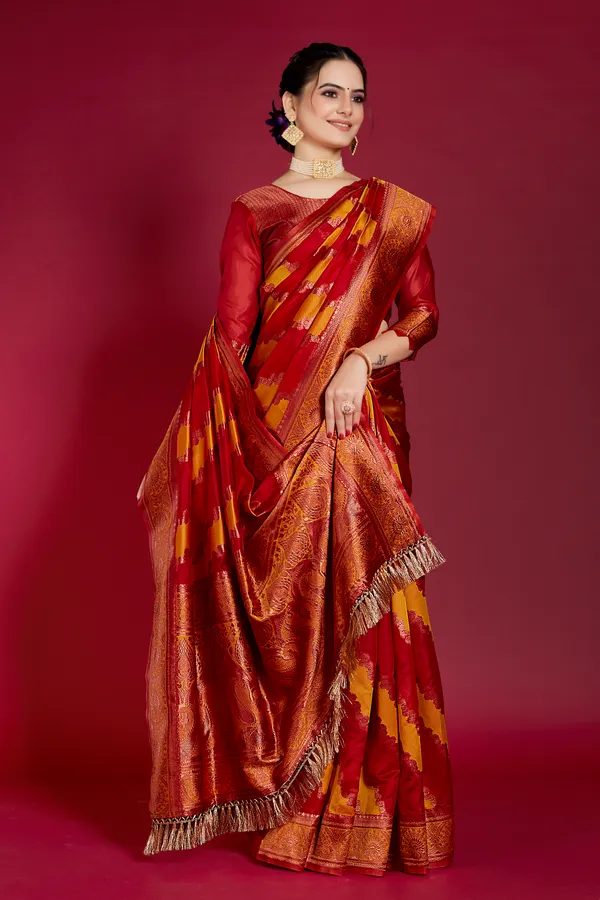 Organza_Saree_with_Blouse_Piece_|_Stylish_Saree_for_Women_Functions