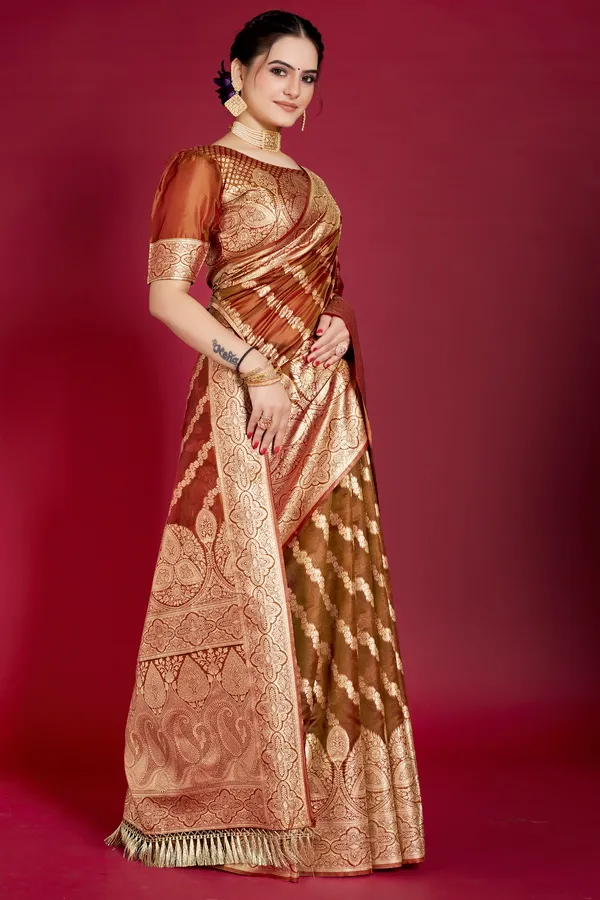 Coffee_Dola_Saree_For_Women