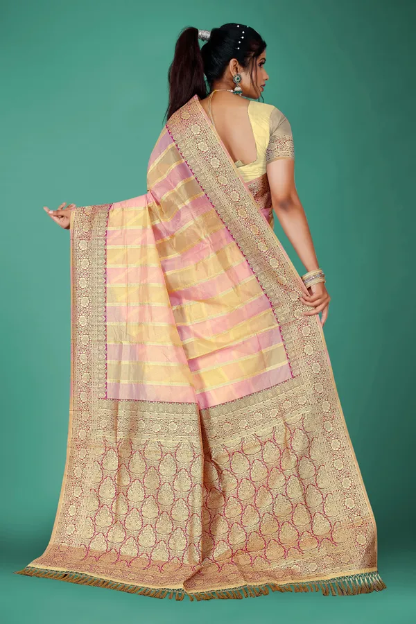Multicolor_Organza_Saree_For_Women