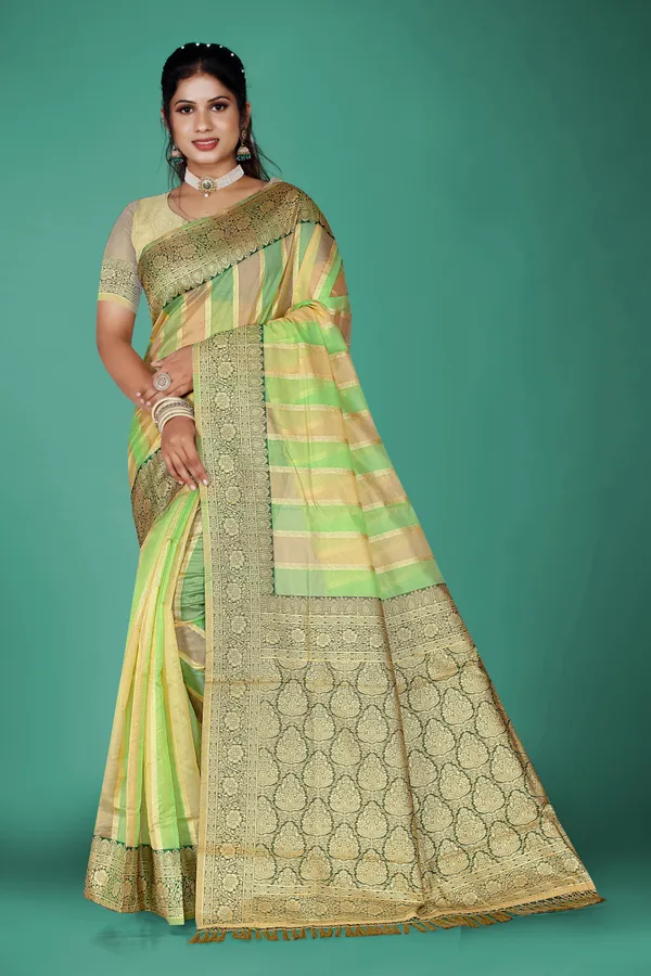Multicolor_Organza_Saree_For_Women