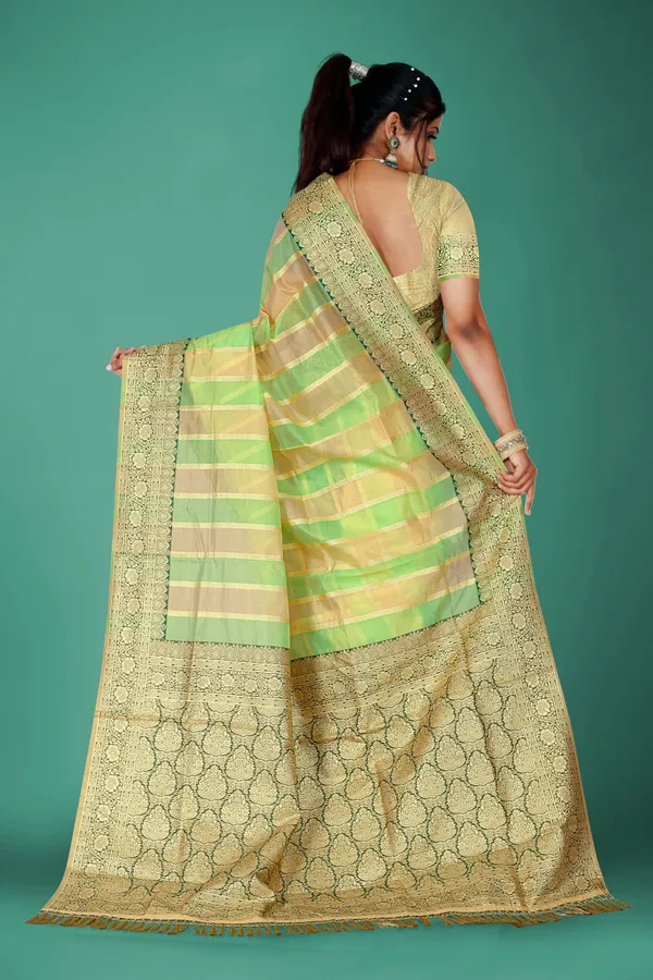 Multicolor_Organza_Saree_For_Women