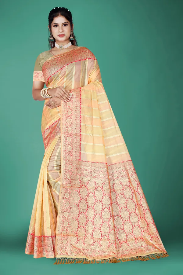 Multicolor_Organza_Saree_For_Women