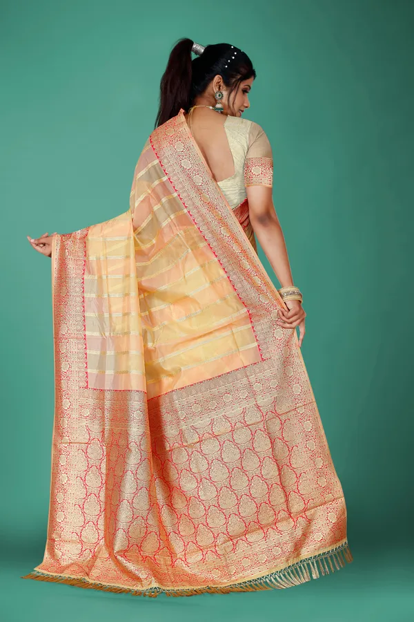Multicolor_Organza_Saree_For_Women
