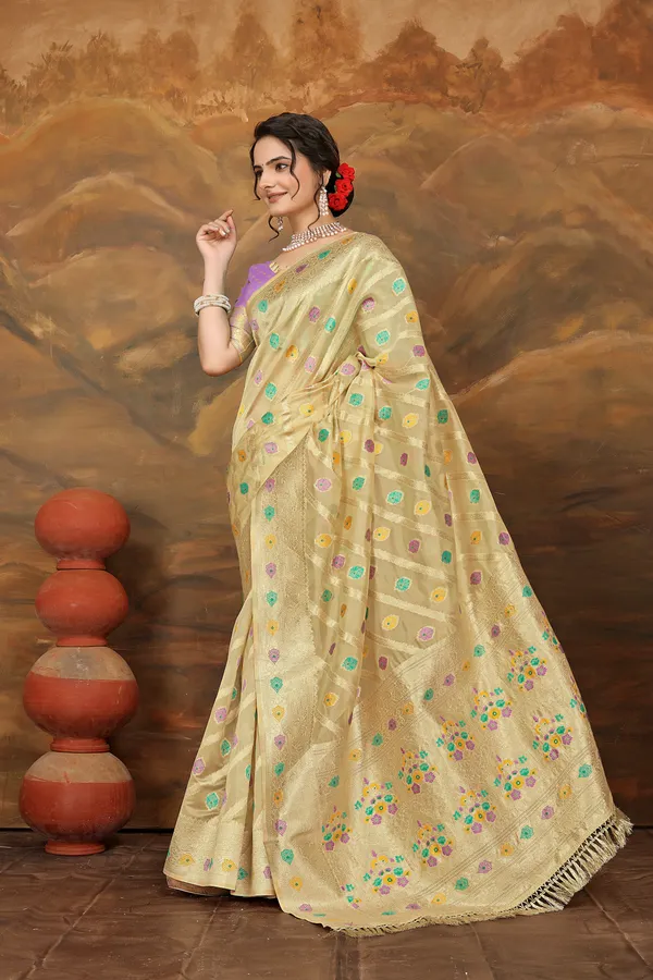 Light_Brown_Organza_Saree_For_Women