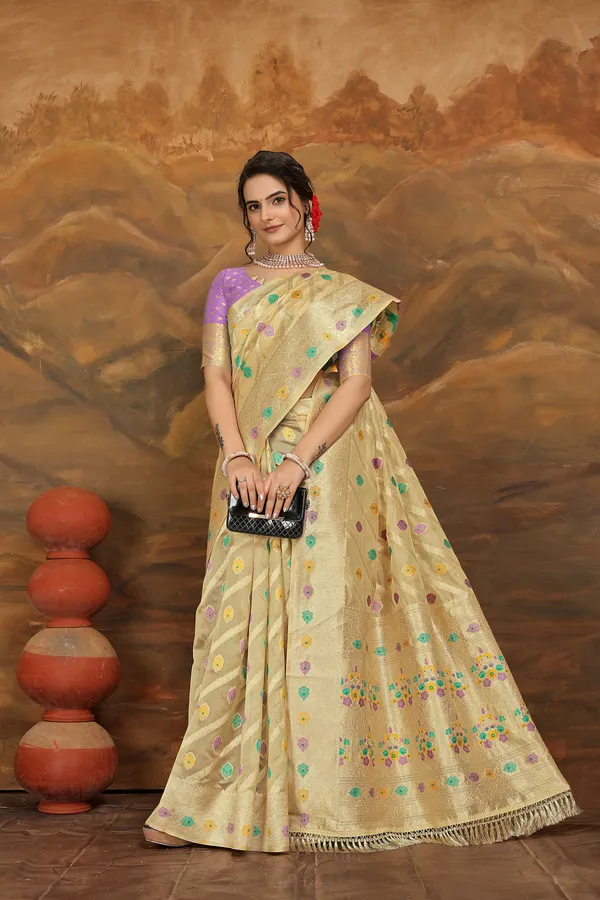 Light_Brown_Organza_Saree_For_Women