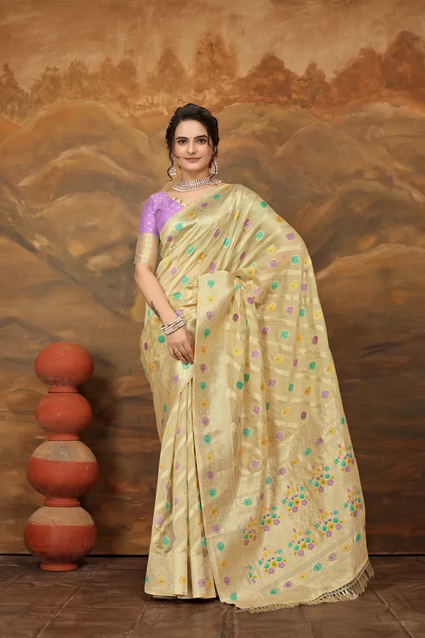 Light_Brown_Organza_Saree_For_Women