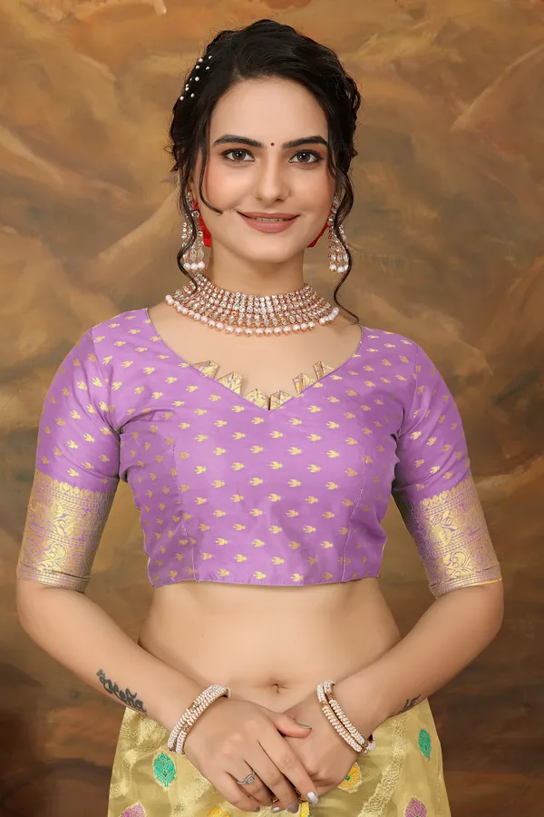 Light_Brown_Organza_Saree_For_Women