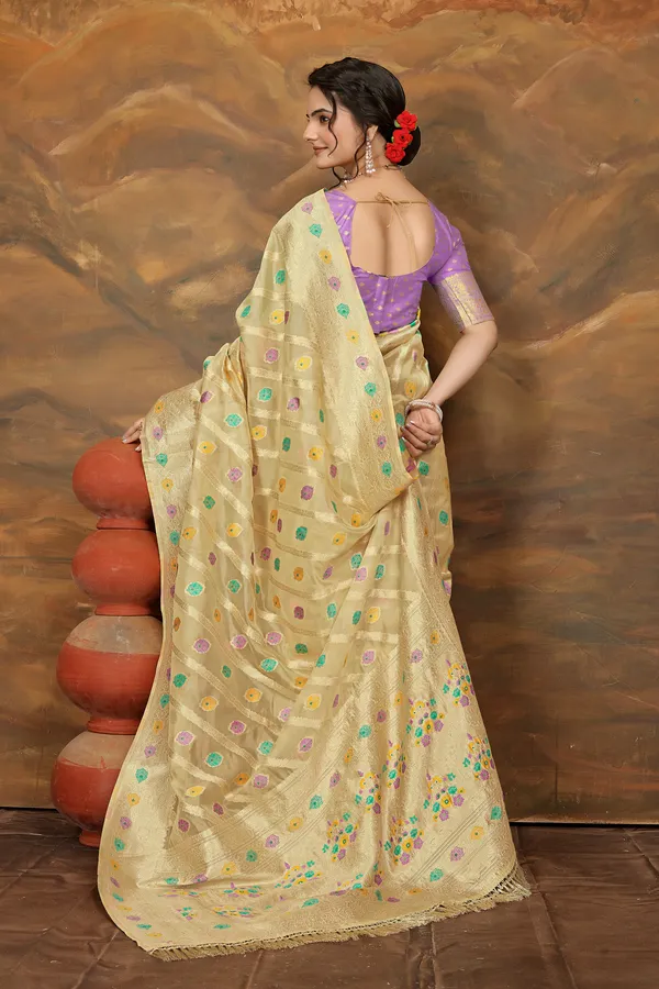 Light_Brown_Organza_Saree_For_Women