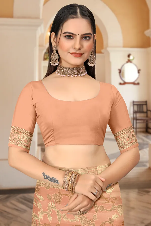 Beige_Organza_Saree_For_Women