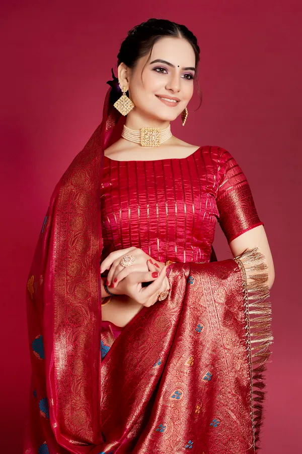 Multicolor_Organza_Saree_For_Women