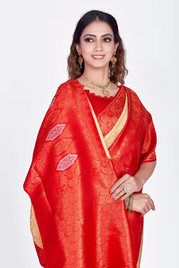 Cream_Nylon_Softy_Saree_For_Women
