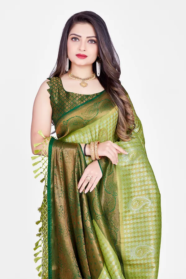 Designer_Banarasi_Saree_for_Elegant_Look_By_AAGIRI