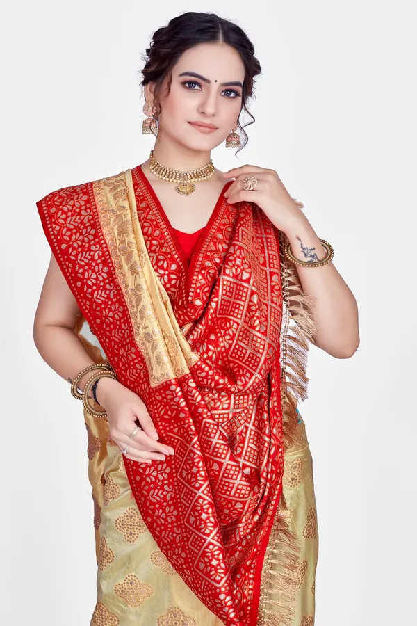 Premium_Dola_silk_saree_with_Gold_tone_zari_work