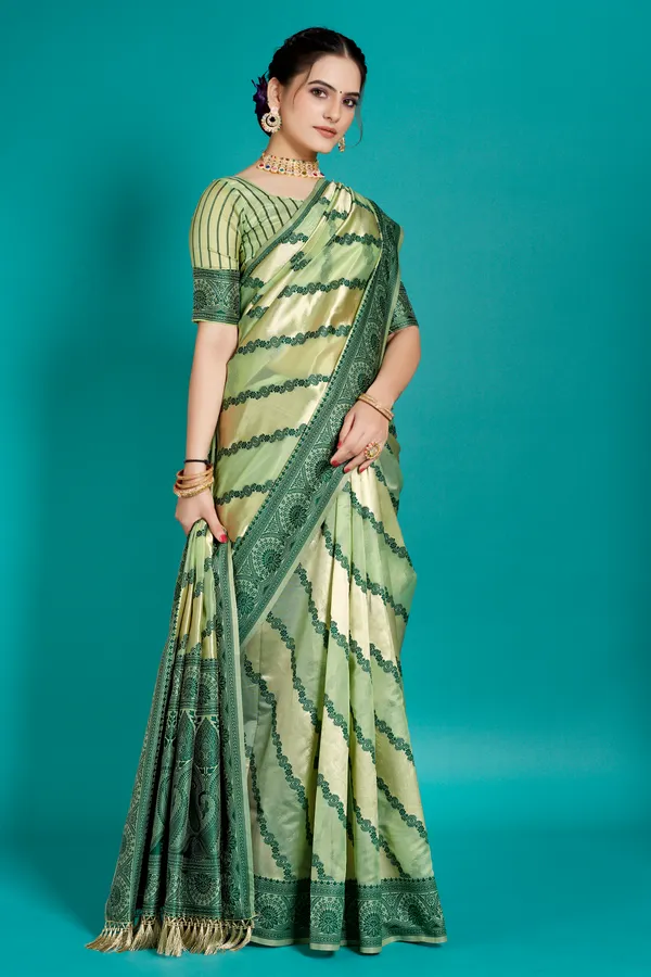 Organza_Saree_with_Blouse_Piece_|_Stylish_Saree_for_Women_Functions