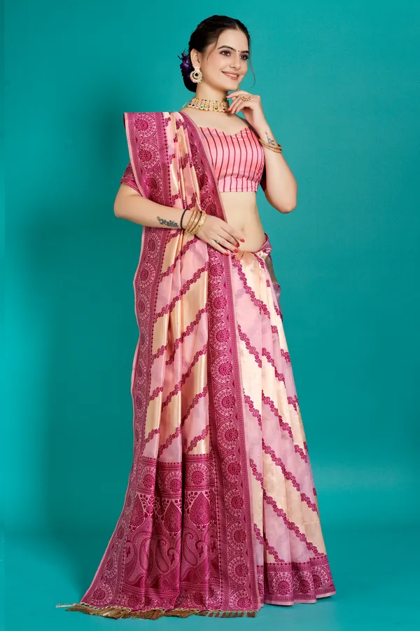 Organza_Saree_with_Blouse_Piece_|_Stylish_Saree_for_Women_Functions