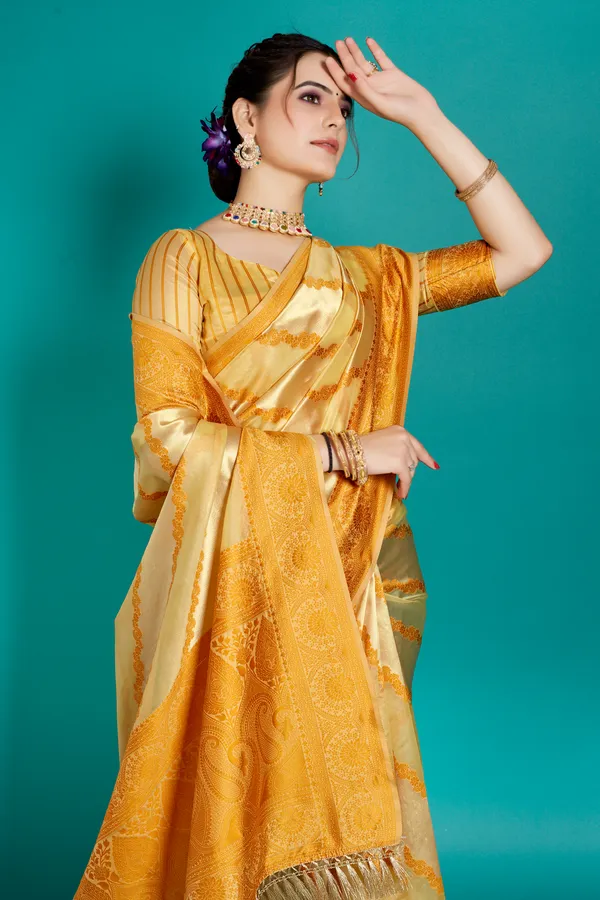 Organza_Saree_with_Blouse_Piece_|_Stylish_Saree_for_Women_Functions