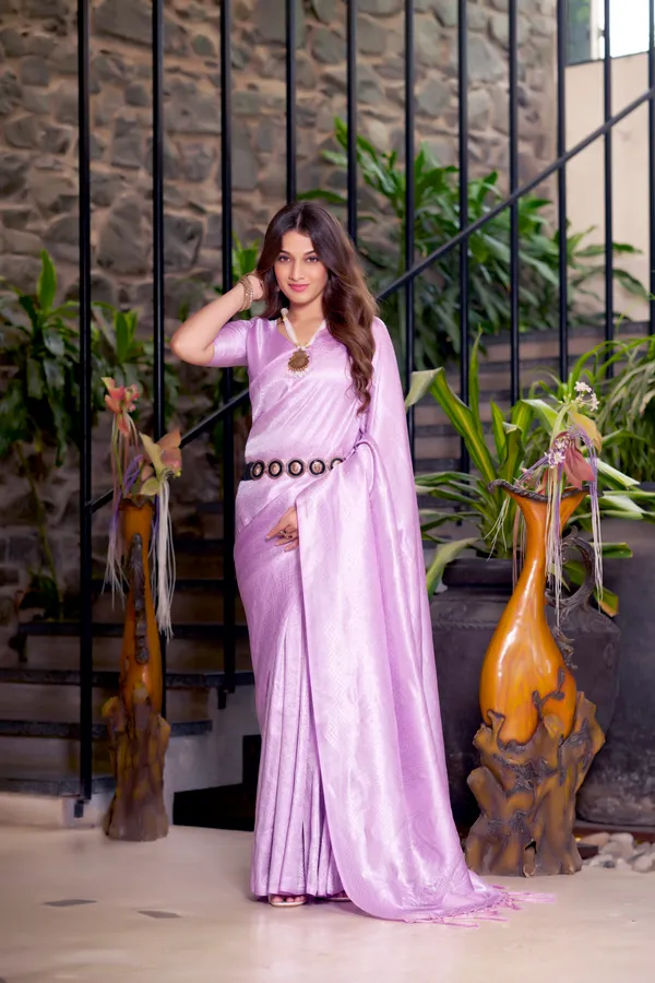 Premium_Nylon_saree_with_tassals_work