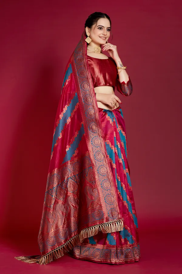 Organza_Saree_with_Blouse_Piece_|_Stylish_Saree_for_Women_Functions