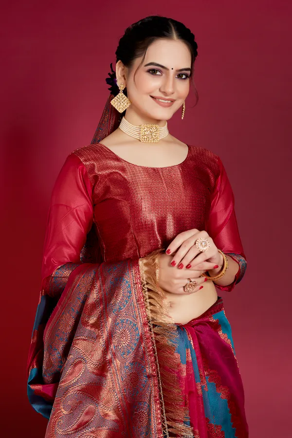 Organza_Saree_with_Blouse_Piece_|_Stylish_Saree_for_Women_Functions