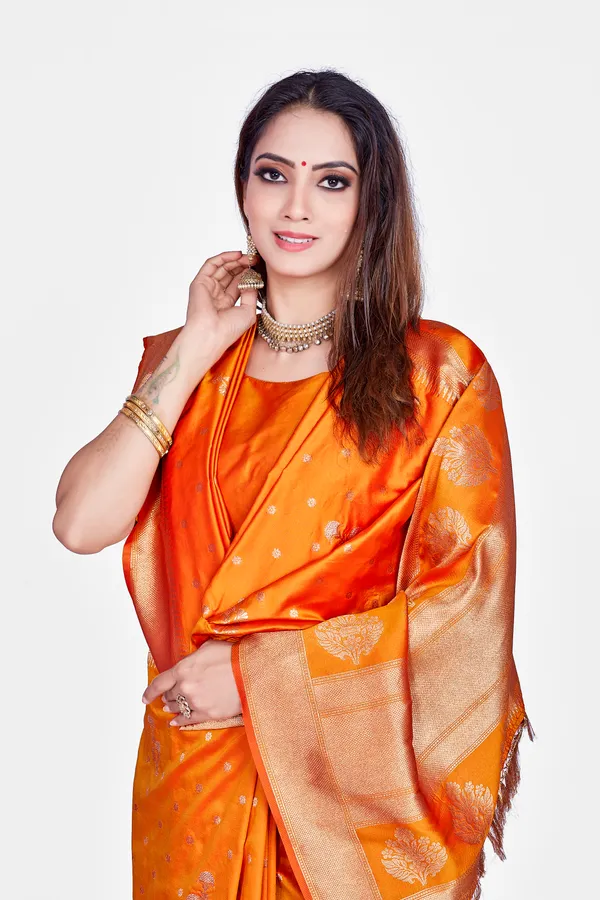 Premium_Zari_work_woven_Banarasi_Saree