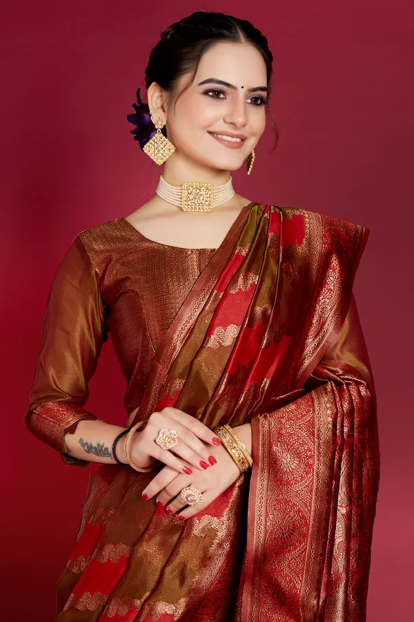 Organza_Saree_with_Blouse_Piece_|_Stylish_Saree_for_Women_Functions