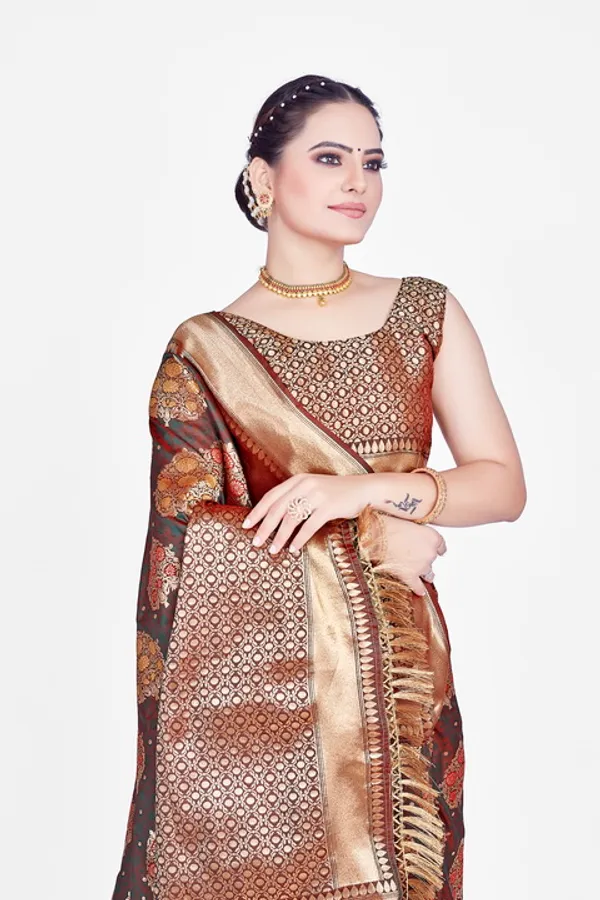 Gold_-Toned_Ethnic_Motifs_Woven_Design_Zari_Kia_Silk_Cotton_Saree