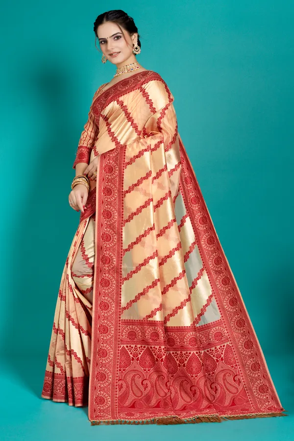 Organza_Saree_with_Blouse_Piece_|_Stylish_Saree_for_Women_Functions