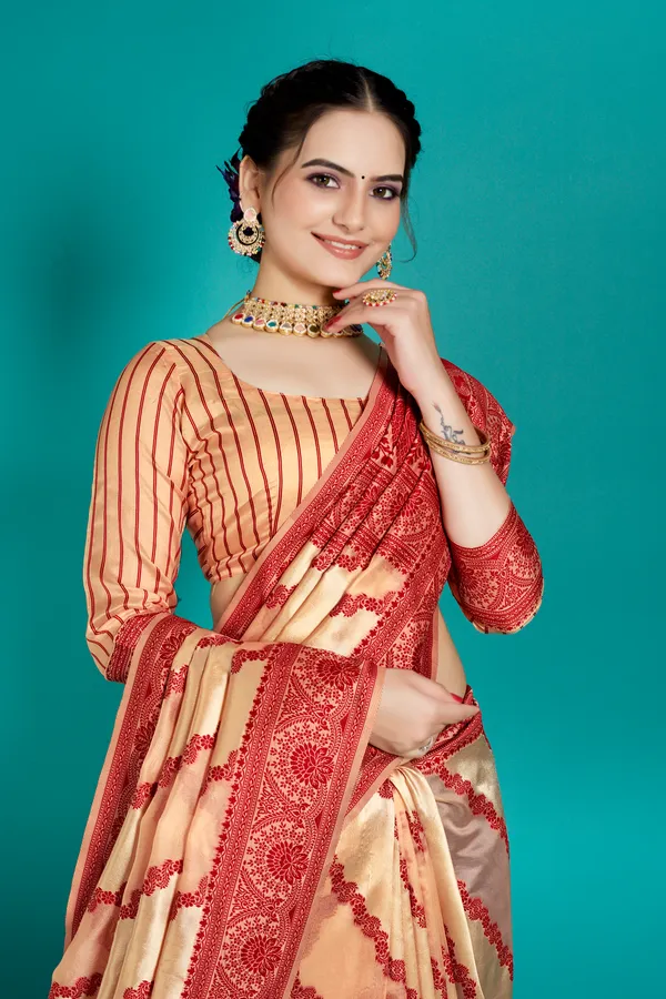 Organza_Saree_with_Blouse_Piece_|_Stylish_Saree_for_Women_Functions
