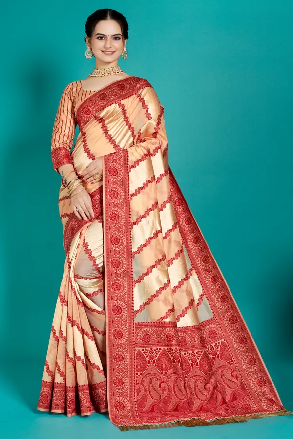 Organza_Saree_with_Blouse_Piece_|_Stylish_Saree_for_Women_Functions