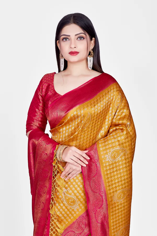 Designer_Banarasi_Saree_for_Elegant_Look_By_AAGIRI