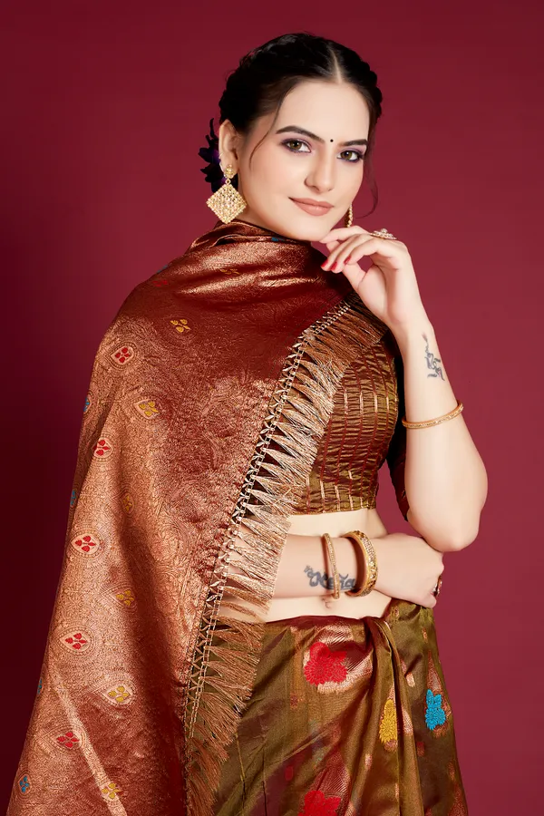 Lightweight_Designer_Organza_Saree_with_Blouse_Piece_|_Perfect_Saree_for_Women
