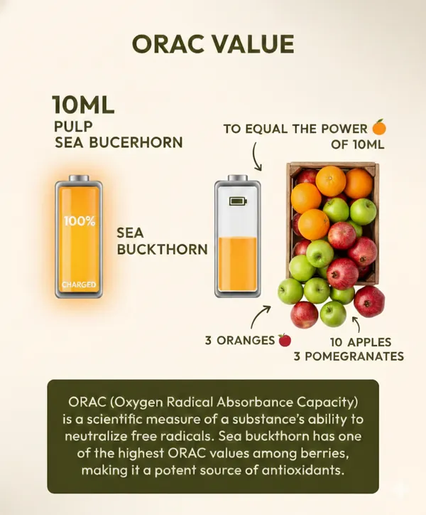 Sea_Buckthorn_Concentrated_Juice_|_Himalayan_Berry_|_Immunity_Booster_&_Antioxidant_|_Multivitamin_With_Omega_7_(300_Ml)