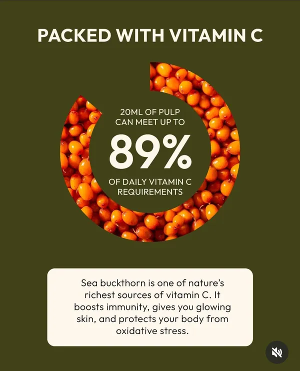 Sea_Buckthorn_Concentrated_Juice_|_Himalayan_Berry_|_Immunity_Booster_&_Antioxidant_|_Multivitamin_With_Omega_7_(300_Ml)