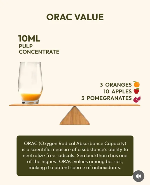 100%_Pure_Sea_Buckthorn_Concentrated_Juice_|_Himalayan_Berry_|_Immunity_Booster_&_Antioxidant_|_Multivitamin_With_Omega_7_(600_Ml)