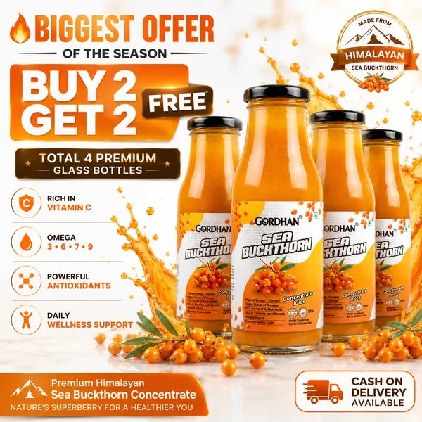 100%_GORDHAN_Pure_Sea_Buckthorn_Concentrated_Juice_in_Glass_Bottle_|_Himalayan_Berry_|_Immunity_Booster_&_Antioxidant_|_Multivitamin_With_Omega_7_(1200_Ml)