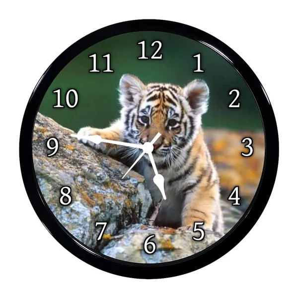 Multicolour_Indian_Tiger_Abs_Plastic_Wall_Clock_With_Glass_In_Front_28_X_28_X_6Cm
