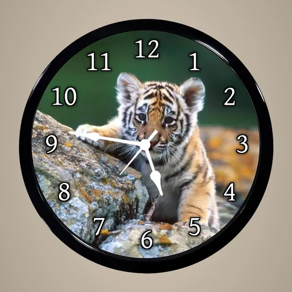 Multicolour_Indian_Tiger_Abs_Plastic_Wall_Clock_With_Glass_In_Front_28_X_28_X_6Cm